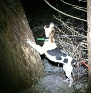 Meet your Posher, Jared